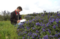 Man kneeling in front of purple flowers while writing on clipboard.