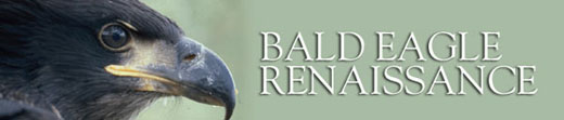 Bald Eagle Renaissance header image