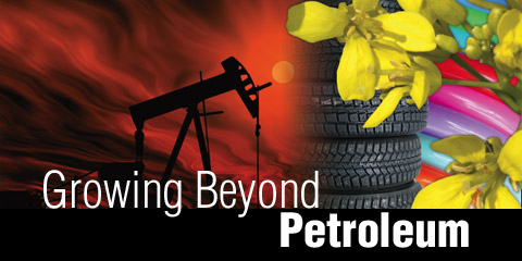 Growing Beyond Petroleum header image