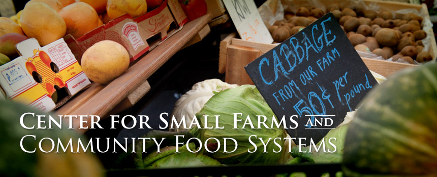 Small Farms and Community Food Systems