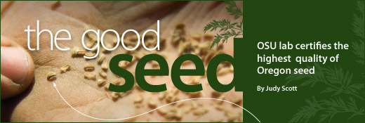 The Good Seed header image