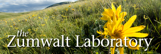 The Zumwalt Laboratory header image