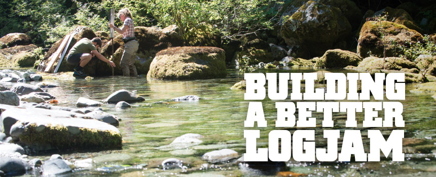 Building a Better Logjam