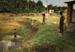 Pond workers in Ghana