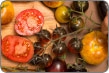 Tomatoes thumbnail